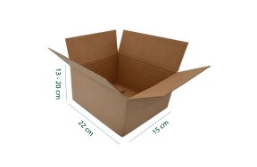 CARTON BOX WITH ADJUSTABLE HEIGHT 22x15x13-20cm